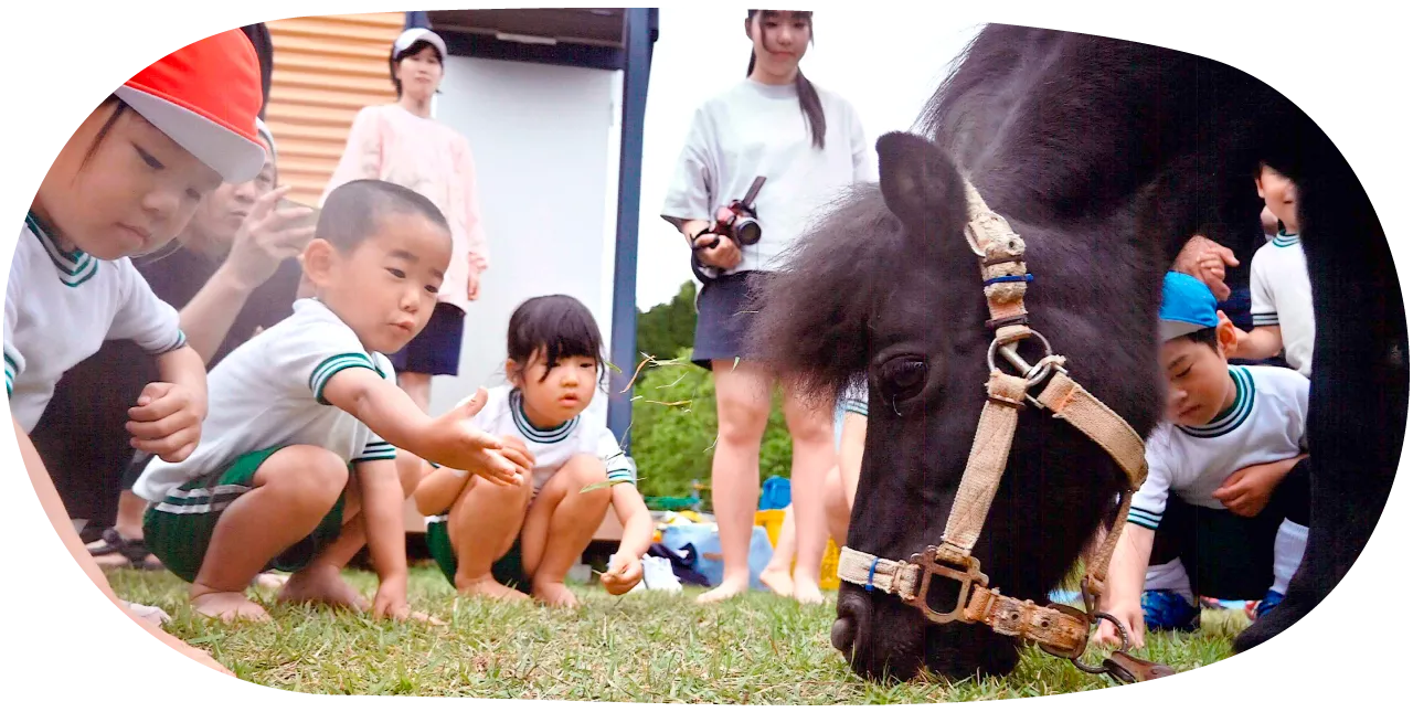 馬と触れ合う